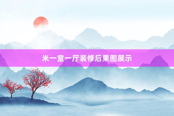 米一室一厅装修后果图展示