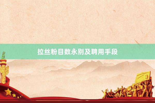 拉丝粉目数永别及聘用手段